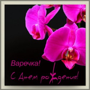 Картинка Вареньке с цветками орхидей