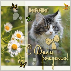 Кире изображение с котенком и бабочками