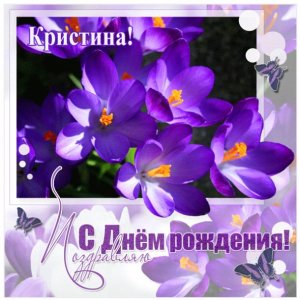 Кристине открытка с фиалками и бабочками