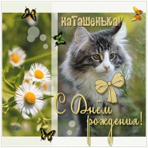 Анимированное изображение с котенком и бабочками Наташе