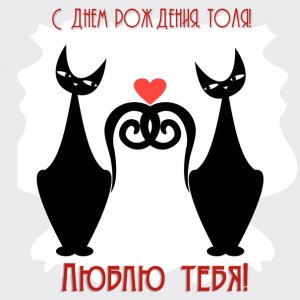 Картинка Анатолию с влюбленными котиками