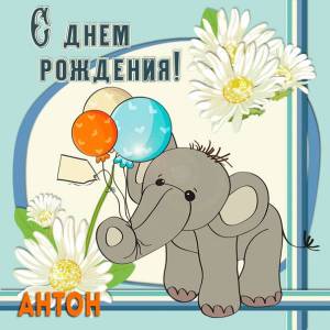 Антону с днем рождения картинка со слоном и шарами