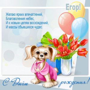 Егору gif картинка с собачкой и тюльпанами