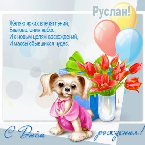 Руслану открытка с собачкой и тюльпанами