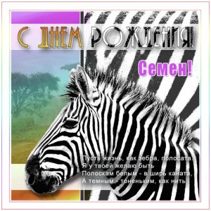 Анимированная картинка с зеброй и пожеланиями Семену