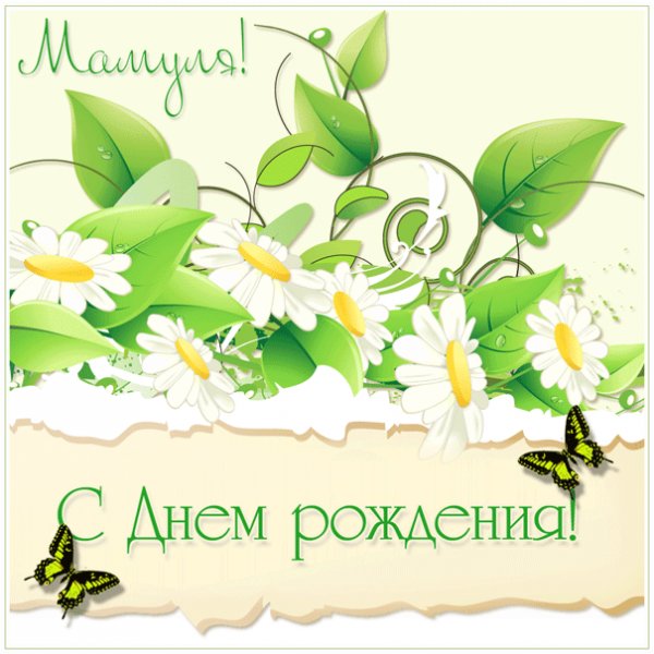 Маме изображение с ромашками и бабочками